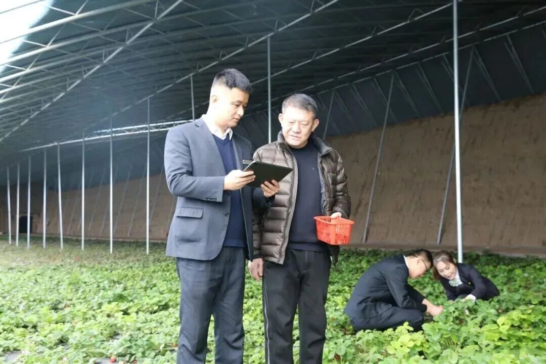 ����HL8��(�й���)����-�ٷ���վ